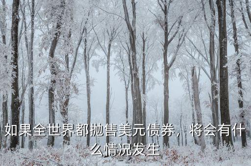 如果全世界都拋售美元債券，將會有什么情況發(fā)生
