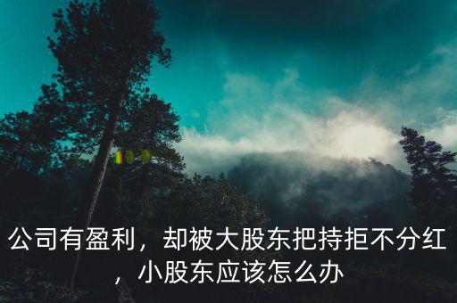 公司有盈利，卻被大股東把持拒不分紅，小股東應(yīng)該怎么辦