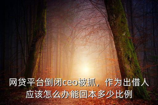 網(wǎng)貸平臺倒閉ceo被抓，作為出借人應(yīng)該怎么辦能回本多少比例