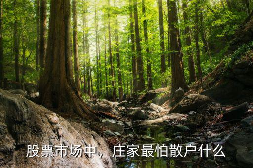 股票市場中，莊家最怕散戶什么