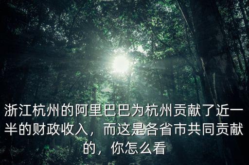 浙江杭州的阿里巴巴為杭州貢獻了近一半的財政收入，而這是各省市共同貢獻的，你怎么看
