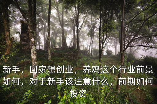 新手，回家想創(chuàng)業(yè)，養(yǎng)雞這個(gè)行業(yè)前景如何，對(duì)于新手該注意什么，前期如何投資