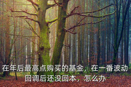 在年后最高點購買的基金，在一番波動回調(diào)后還沒回本，怎么辦