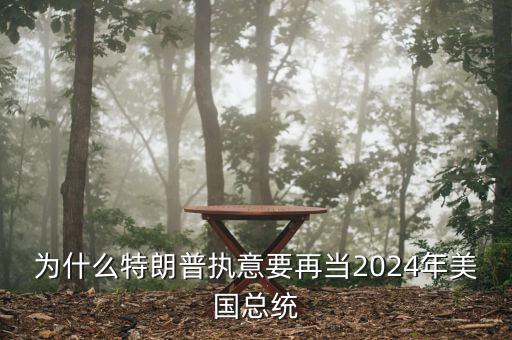 為什么要贊助總統(tǒng),為什么還要爭當總統(tǒng)