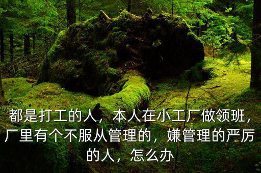 都是打工的人，本人在小工廠做領(lǐng)班，廠里有個(gè)不服從管理的，嫌管理的嚴(yán)厲的人，怎么辦