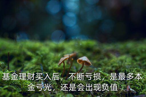 基金理財買入后，不斷虧損，是最多本金虧光，還是會出現(xiàn)負(fù)值