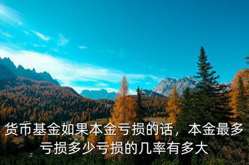 貨幣基金如果本金虧損的話，本金最多虧損多少虧損的幾率有多大