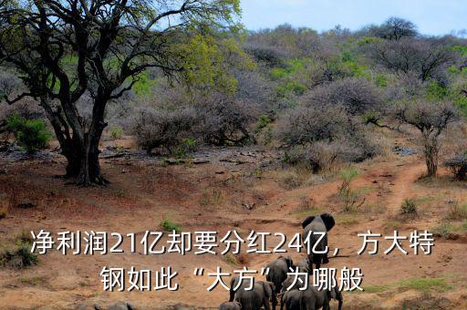 凈利潤21億卻要分紅24億，方大特鋼如此“大方”為哪般