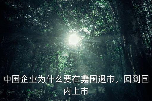 中國企業(yè)為什么要在美國退市，回到國內(nèi)上市