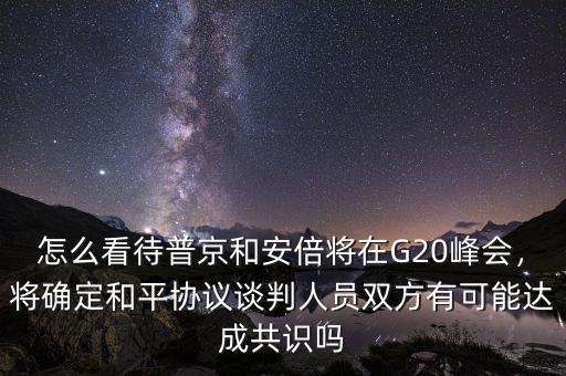 怎么看待普京和安倍將在G20峰會(huì)，將確定和平協(xié)議談判人員雙方有可能達(dá)成共識(shí)嗎