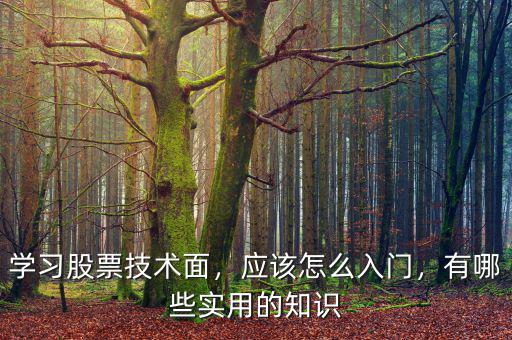 學習股票技術面，應該怎么入門，有哪些實用的知識