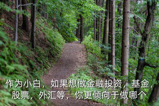 作為小白，如果想做金融投資，基金，股票，外匯等，你更傾向于做哪個