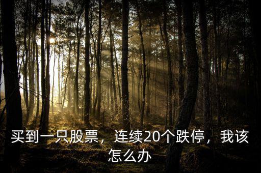 買到一只股票，連續(xù)20個跌停，我該怎么辦