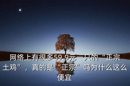 網(wǎng)絡(luò)上有很多59.9元一只的“正宗土雞”，真的是“正宗”嗎為什么這么便宜