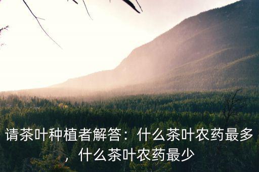 請茶葉種植者解答：什么茶葉農(nóng)藥最多，什么茶葉農(nóng)藥最少