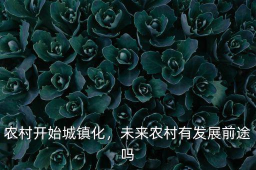 農(nóng)村開始城鎮(zhèn)化，未來(lái)農(nóng)村有發(fā)展前途嗎