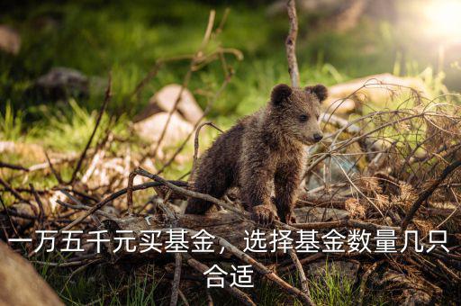 一萬五千元買基金，選擇基金數(shù)量幾只合適