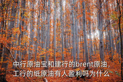 中行原油寶和建行的brent原油，工行的紙?jiān)陀腥擞麊釣槭裁? class=