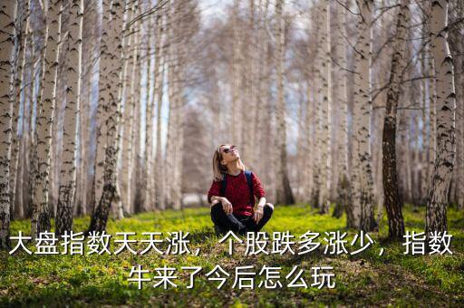 大盤指數(shù)天天漲，個股跌多漲少，指數(shù)牛來了今后怎么玩