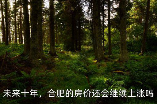 未來十年，合肥的房價還會繼續(xù)上漲嗎