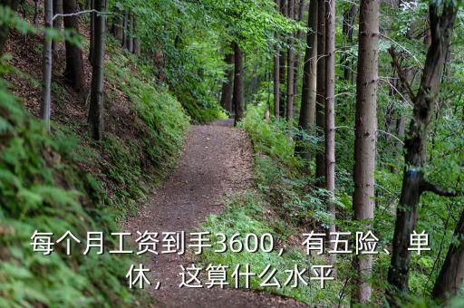 每個月工資到手3600，有五險、單休，這算什么水平