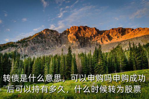 轉(zhuǎn)債是什么意思，可以申購(gòu)嗎申購(gòu)成功后可以持有多久，什么時(shí)候轉(zhuǎn)為股票