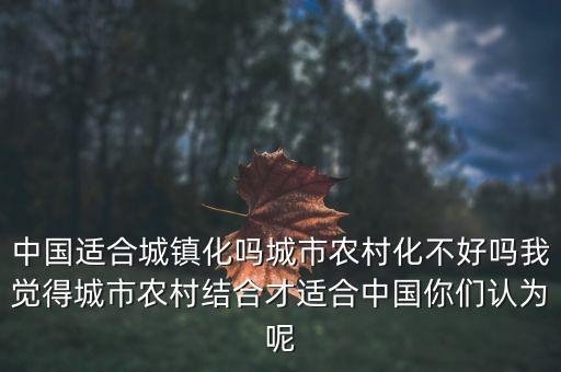 中國適合城鎮(zhèn)化嗎城市農(nóng)村化不好嗎我覺得城市農(nóng)村結(jié)合才適合中國你們認為呢