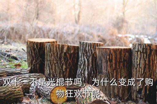 雙十一不是光棍節(jié)嗎，為什么變成了購物狂歡節(jié)呢