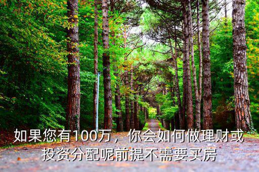 如果您有100萬，你會如何做理財(cái)或投資分配呢前提不需要買房