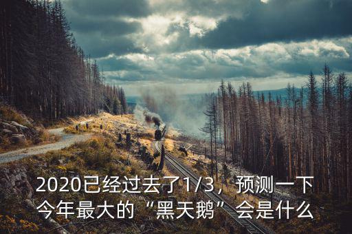 2020已經(jīng)過去了1/3，預測一下今年最大的“黑天鵝”會是什么