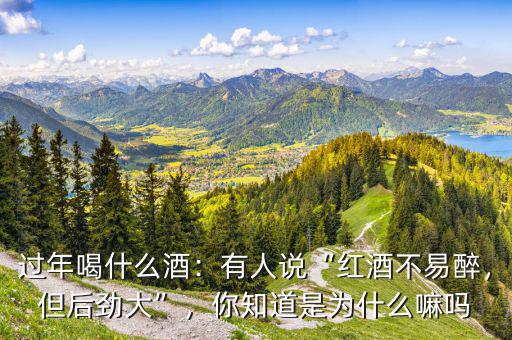 過年喝什么酒：有人說“紅酒不易醉，但后勁大”，你知道是為什么嘛嗎