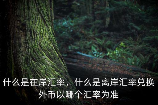 什么是在岸匯率，什么是離岸匯率兌換外幣以哪個匯率為準(zhǔn)