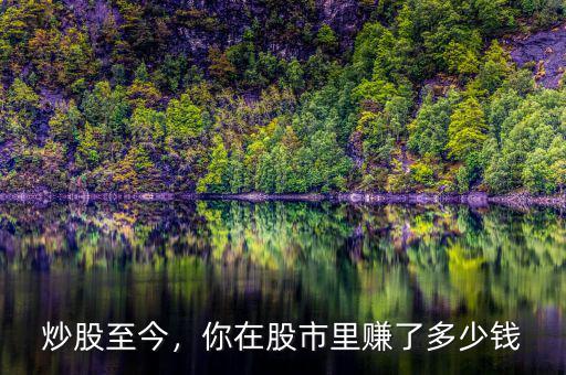 炒股至今，你在股市里賺了多少錢