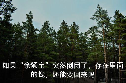 如果“余額寶”突然倒閉了，存在里面的錢(qián)，還能要回來(lái)嗎