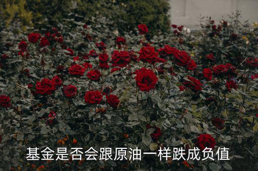 石油基金怎么樣,長(zhǎng)期持有石油基金