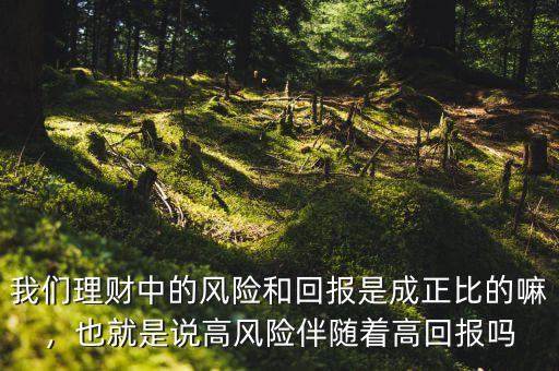 我們理財中的風險和回報是成正比的嘛，也就是說高風險伴隨著高回報嗎