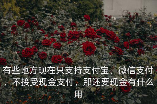 有些地方現(xiàn)在只支持支付寶、微信支付，不接受現(xiàn)金支付，那還要現(xiàn)金有什么用
