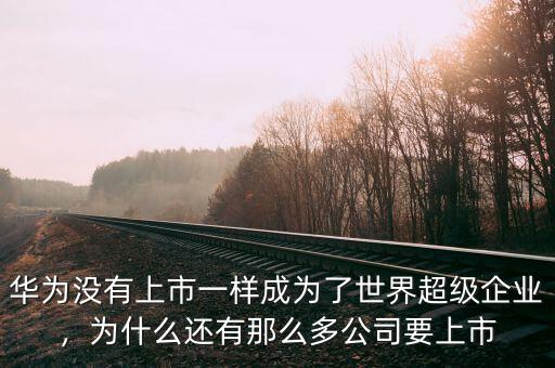 華為沒有上市一樣成為了世界超級企業(yè)，為什么還有那么多公司要上市