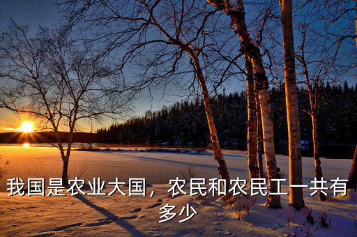 我國是農(nóng)業(yè)大國，農(nóng)民和農(nóng)民工一共有多少