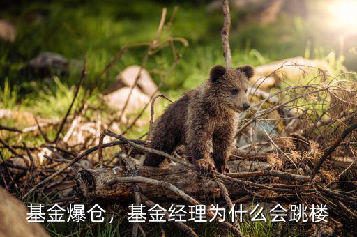 基金經理胡戈游怎么樣,基金經理為什么會跳樓