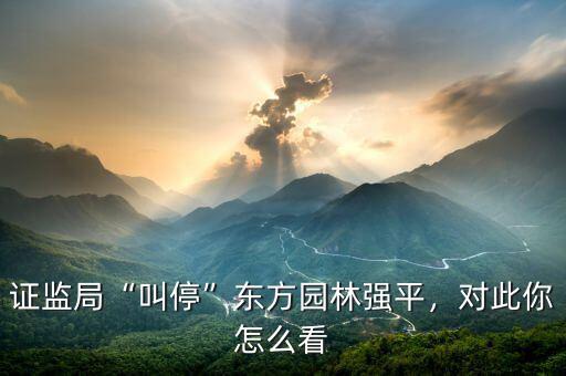 證監(jiān)局“叫停”東方園林強(qiáng)平，對此你怎么看