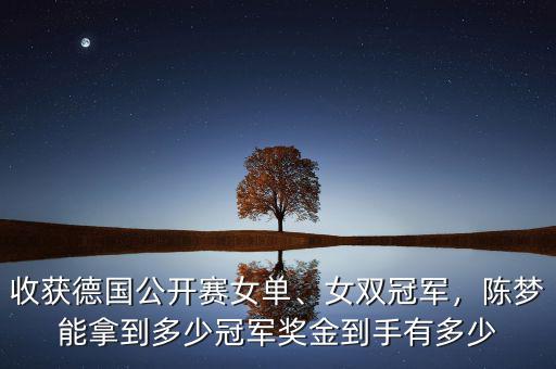 中網(wǎng)女單冠軍獎(jiǎng)金多少,冠軍竟能獲百萬獎(jiǎng)金
