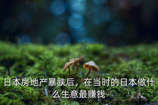 日本房地產(chǎn)暴跌后，在當(dāng)時(shí)的日本做什么生意最賺錢