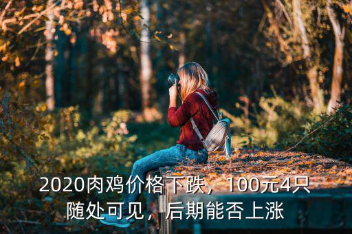 2020肉雞價格下跌，100元4只隨處可見，后期能否上漲