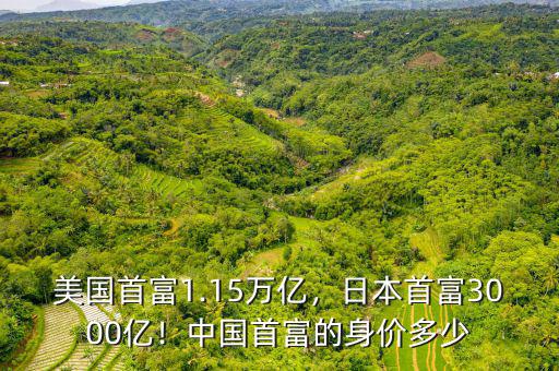 美國首富1.15萬億，日本首富3000億！中國首富的身價多少