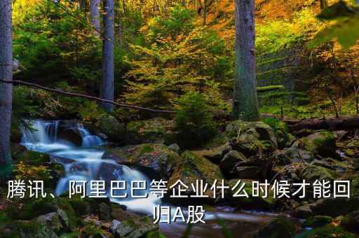 騰訊、阿里巴巴等企業(yè)什么時候才能回歸A股