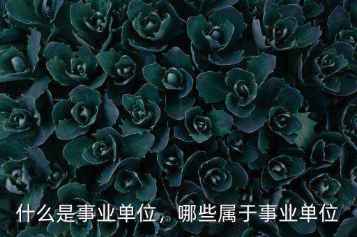 什么是事業(yè)單位，哪些屬于事業(yè)單位