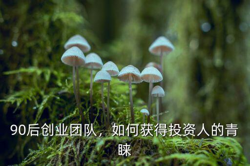 90后創(chuàng)業(yè)團(tuán)隊(duì)，如何獲得投資人的青睞