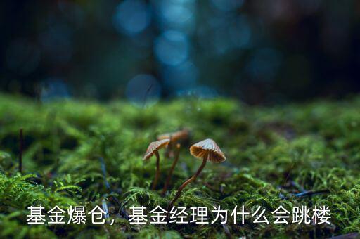 張少華基金經理怎么樣,基金經理為什么會跳樓