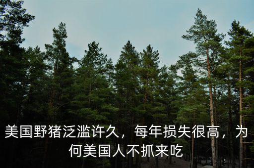 美國野豬泛濫許久，每年損失很高，為何美國人不抓來吃